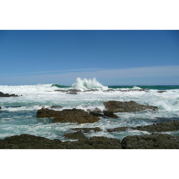 รูปถ่าย แอฟริกาใต้(South Africa) อุทยานแห่งชาติซิตซิคัมมา(Tsitsikamma National Park) 2008-09 273