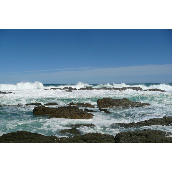รูปถ่าย แอฟริกาใต้(South Africa) อุทยานแห่งชาติซิตซิคัมมา(Tsitsikamma National Park) 2008-09 297