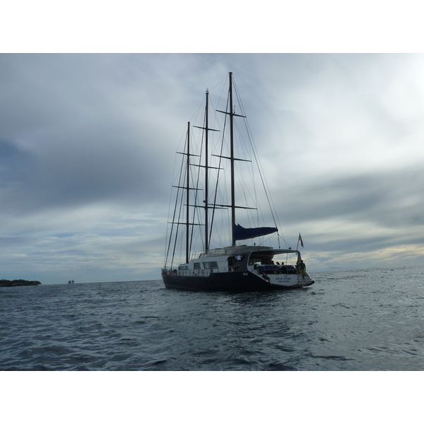 รูปถ่าย เซเชลส์(Seychelles) ซีสตาร์(Sea Star) 2011-10 3