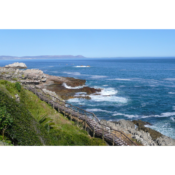 รูปถ่าย แอฟริกาใต้(South Africa) เฮอร์มานัส(Harmanus) 2008-09 299