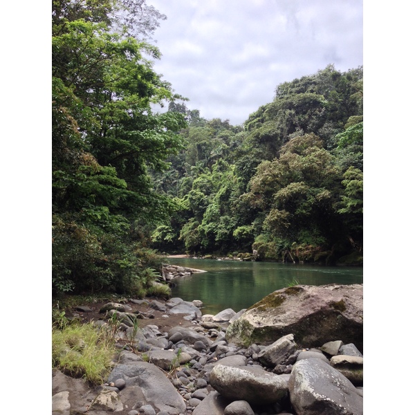 รูปถ่าย คอสตาริกา(Costa Rica) แม่น้ำปากัวเร(Pacuare River) 2015-03 252