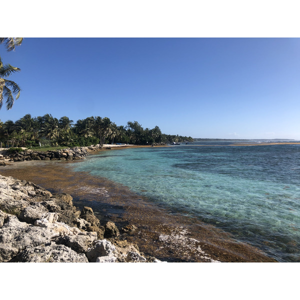 รูปถ่าย กวาเดอลูป(Guadeloupe) แซ็งตาน(Sainte Anne) 2021-02 94