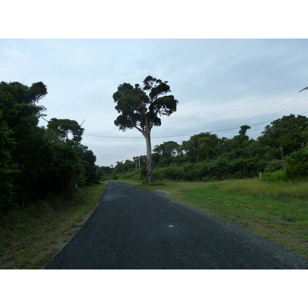 รูปถ่าย นิวแคลิโดเนีย(New Caledonia) เกาะต้นสน(Ile des pins) 2010-05 29