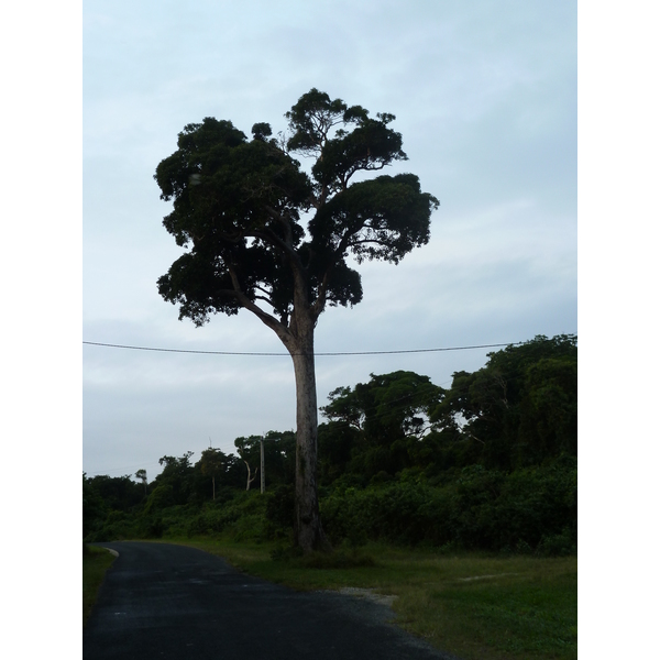 รูปถ่าย นิวแคลิโดเนีย(New Caledonia) เกาะต้นสน(Ile des pins) 2010-05 30