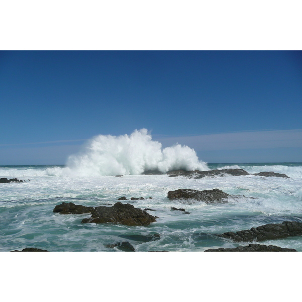 รูปถ่าย แอฟริกาใต้(South Africa) อุทยานแห่งชาติซิตซิคัมมา(Tsitsikamma National Park) 2008-09 211