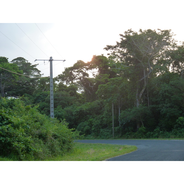 รูปถ่าย นิวแคลิโดเนีย(New Caledonia) เกาะต้นสน(Ile des pins) 2010-05 32