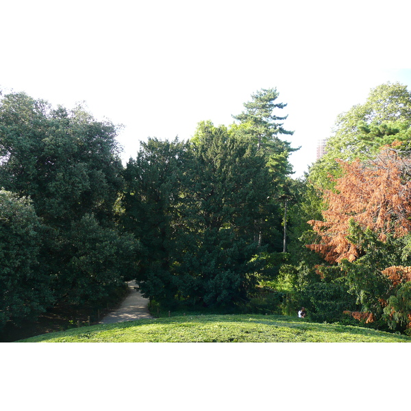 รูปถ่าย ฝรั่งเศส(France) ปารีส(Paris) สวนพันธ์ุพืช(Jardin des Plantes) 2007-08 30
