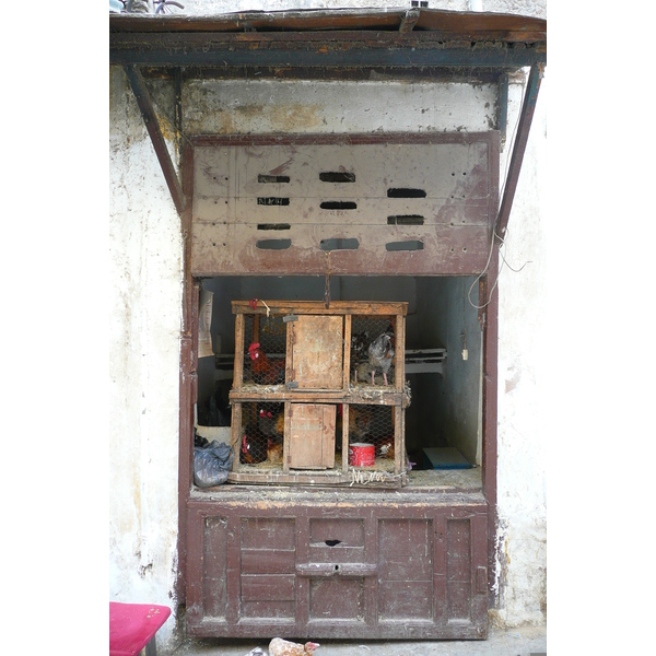 รูปถ่าย โมร็อกโก(Morocco) เฟส(Fes) 2008-07 15