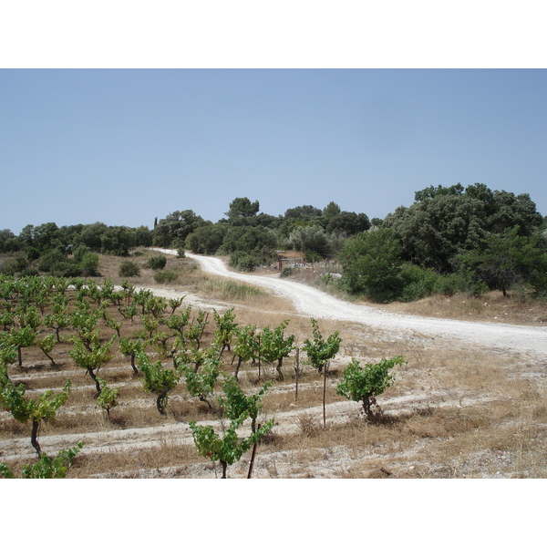 รูปถ่าย ฝรั่งเศส(France) โซเมียร์(Sommieres) 2006-06 7