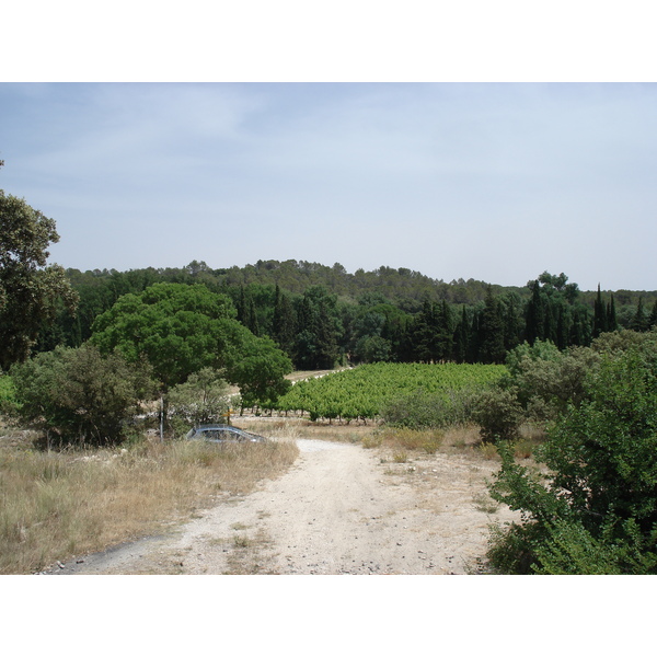 รูปถ่าย ฝรั่งเศส(France) โซเมียร์(Sommieres) 2006-06 16