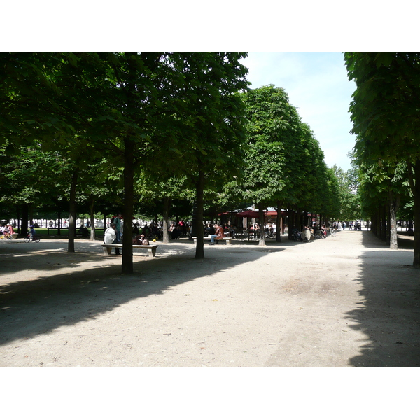 รูปถ่าย ฝรั่งเศส(France) ปารีส(Paris) สวนตุยเลอรี(Garden of Tuileries) 2007-05 354