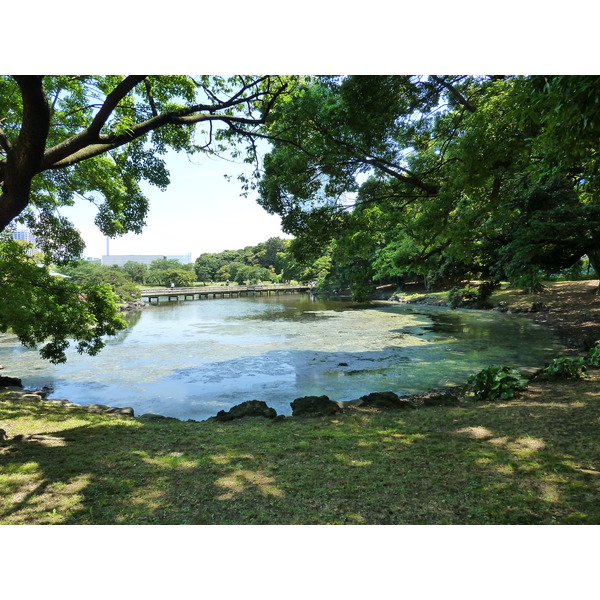รูปถ่าย ญี่ปุ่น(Japan) โตเกียว(Tokyo) สวนฮามะริคิว(Hama rikyu Gardens) 2010-06 99