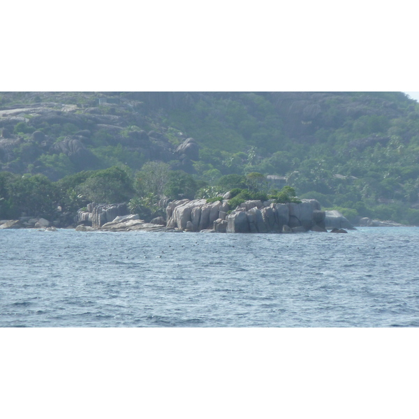 รูปถ่าย เซเชลส์(Seychelles) เกาะโกโก้(Coco Island) 2011-10 45