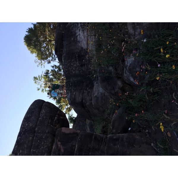 รูปถ่าย ไทย(Thailand) อุทยานแห่งชาติภูหินร่องกล้า(Phu Hin Rong Kla National Park) 2014-12 134