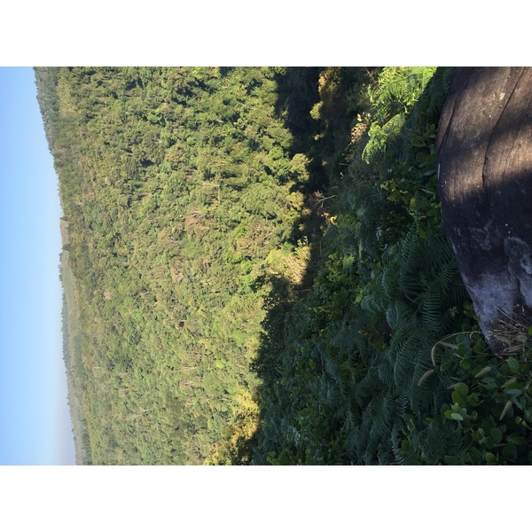 รูปถ่าย ไทย(Thailand) อุทยานแห่งชาติภูหินร่องกล้า(Phu Hin Rong Kla National Park) 2014-12 180