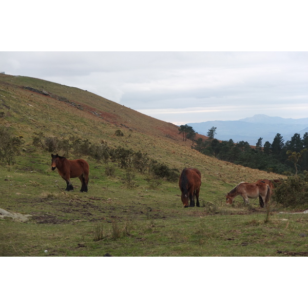 รูปถ่าย ฝรั่งเศส(France) แคว้นบาสก์(Basque Country) 2013-01 106