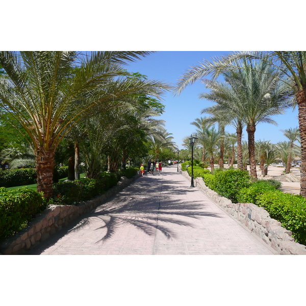 รูปถ่าย อียิปต์(Egypt) ชาร์มเอลชีค(Sharm el Sheikh) 2008-06 6