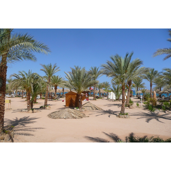 รูปถ่าย อียิปต์(Egypt) ชาร์มเอลชีค(Sharm el Sheikh) 2008-06 15