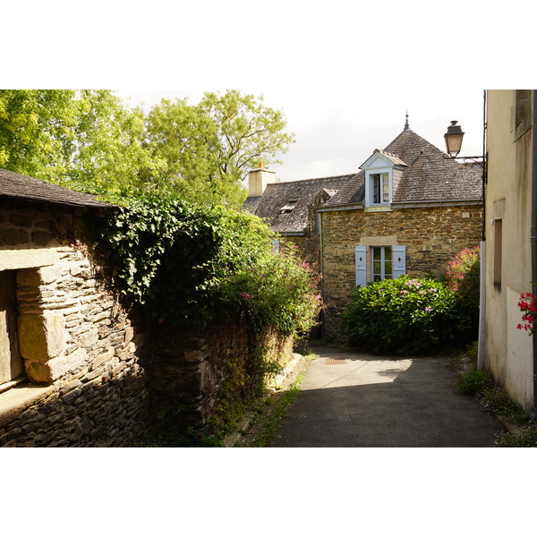 รูปถ่าย ฝรั่งเศส(France) รอชฟอร์-อ็อง-แตร์(Rochefort en terre) 2017-08 62