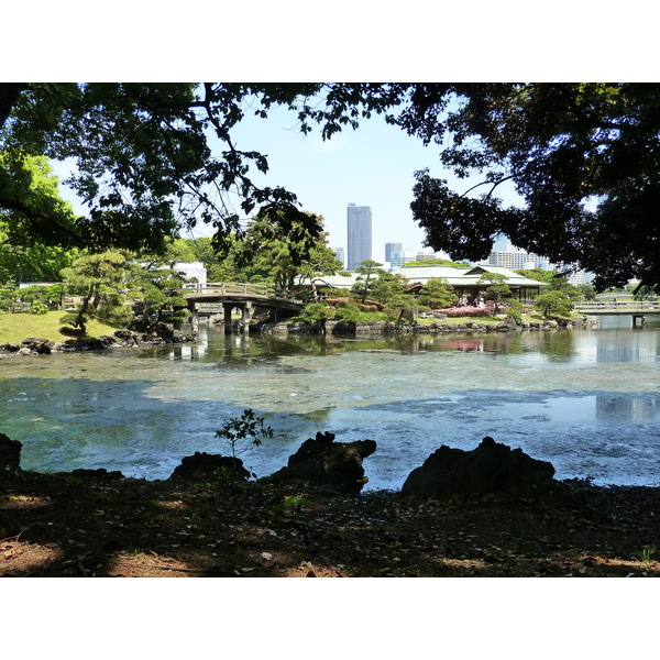 รูปถ่าย ญี่ปุ่น(Japan) โตเกียว(Tokyo) สวนฮามะริคิว(Hama rikyu Gardens) 2010-06 91