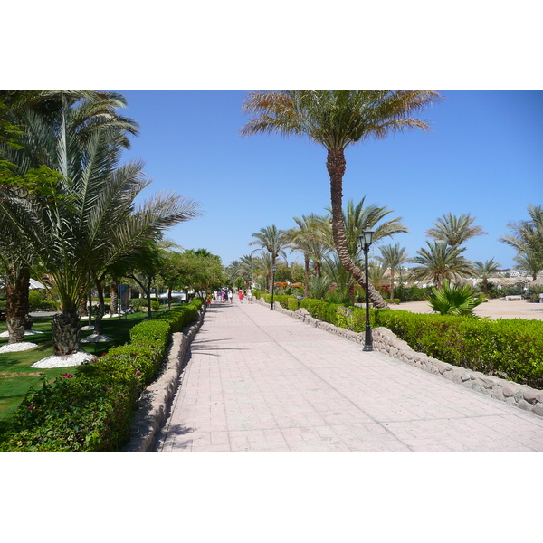 รูปถ่าย อียิปต์(Egypt) ชาร์มเอลชีค(Sharm el Sheikh) 2008-06 24