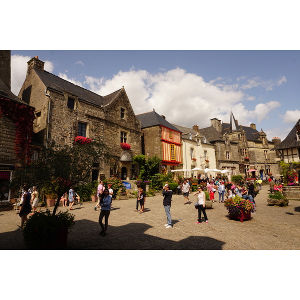 รูปถ่าย ฝรั่งเศส(France) รอชฟอร์-อ็อง-แตร์(Rochefort en terre) 2017-08 61