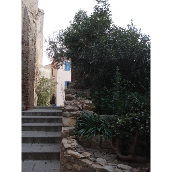 รูปถ่าย ฝรั่งเศส(France) คอร์สิคา(Corsica) คาลวี(Calvi) 2006-09 55
