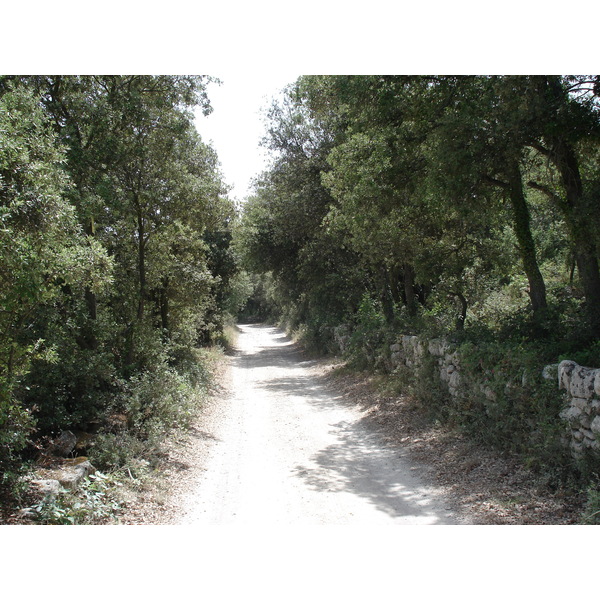รูปถ่าย ฝรั่งเศส(France) โซเมียร์(Sommieres) 2006-06 6