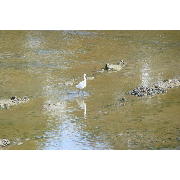 รูปถ่าย ฝรั่งเศส(France) ปงลาเบ(Pont l'abbe) 2008-07 3