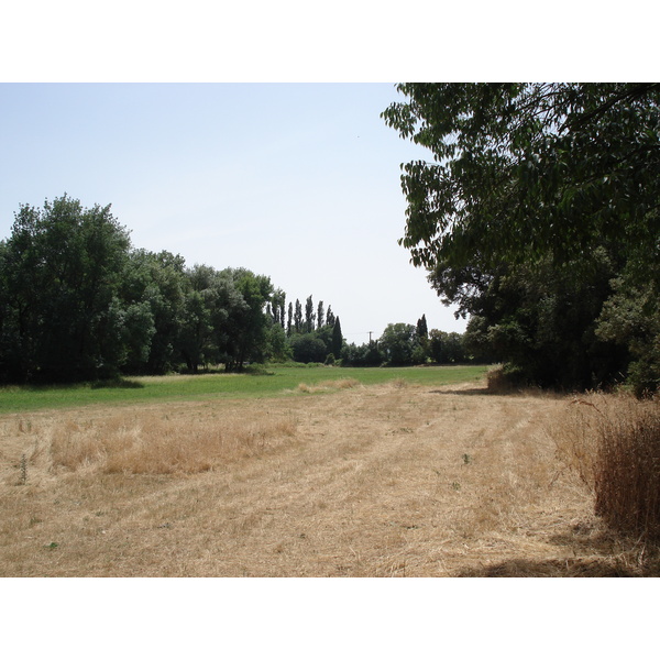 รูปถ่าย ฝรั่งเศส(France) โซเมียร์(Sommieres) 2006-06 111