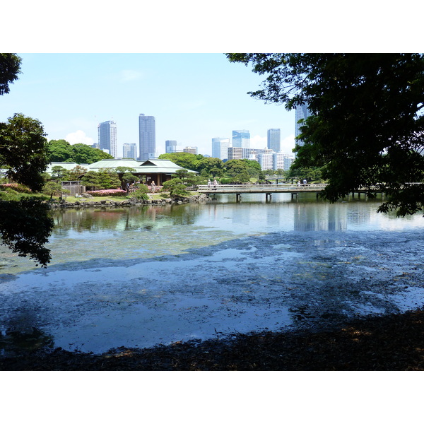 รูปถ่าย ญี่ปุ่น(Japan) โตเกียว(Tokyo) สวนฮามะริคิว(Hama rikyu Gardens) 2010-06 108