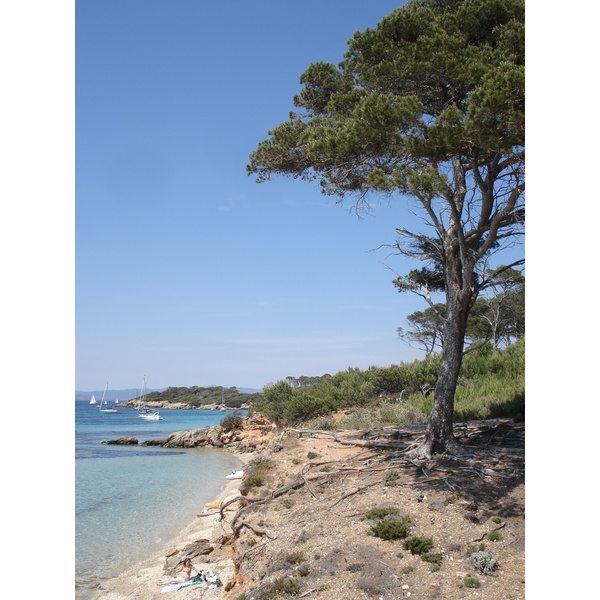 รูปถ่าย ฝรั่งเศส(France) เกาะปอร์เกอรอล(Porquerolles Island) 2006-06 37