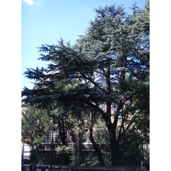 รูปถ่าย ฝรั่งเศส(France) ปารีส(Paris) เล่นสเก็ตในปารีส(Randonnee Roller et Coquillages) 2007-07 61