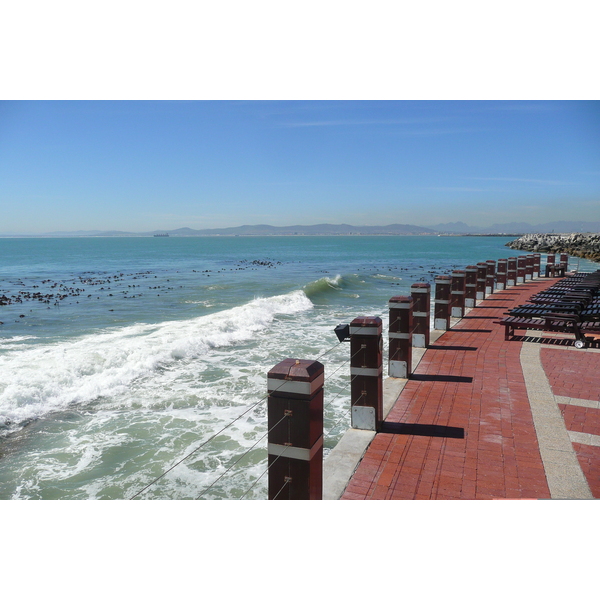 รูปถ่าย แอฟริกาใต้(South Africa) เคปทาวน์(Cape Town) โรงแรมแรดิสัน(Radisson Hotel) 2008-09 12