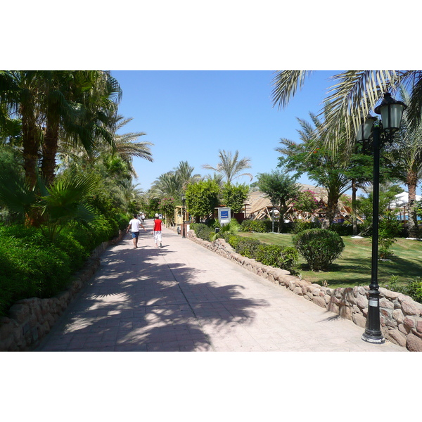 รูปถ่าย อียิปต์(Egypt) ชาร์มเอลชีค(Sharm el Sheikh) 2008-06 23