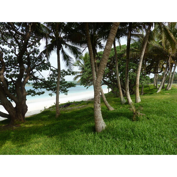 รูปถ่าย นิวแคลิโดเนีย(New Caledonia) เกาะลีฟู(Lifou) ลูเอซิลลา(Luecilla) 2010-05 28