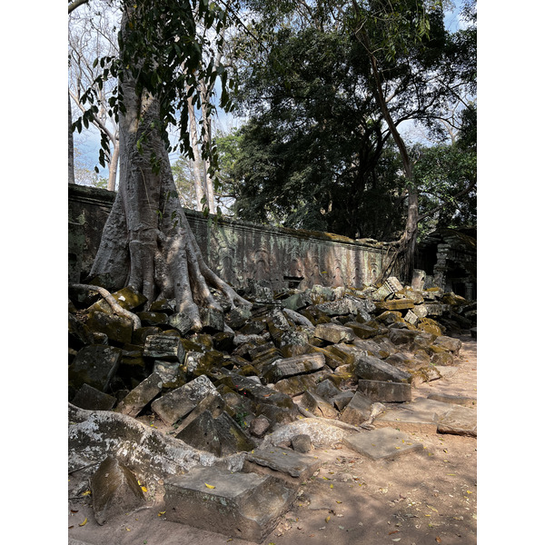 รูปถ่าย กัมพูชา(Cambodia) เสียมราฐ(Siem Reap) ปราสาทตาพรหม(Ta Prohm) 2023-01 1