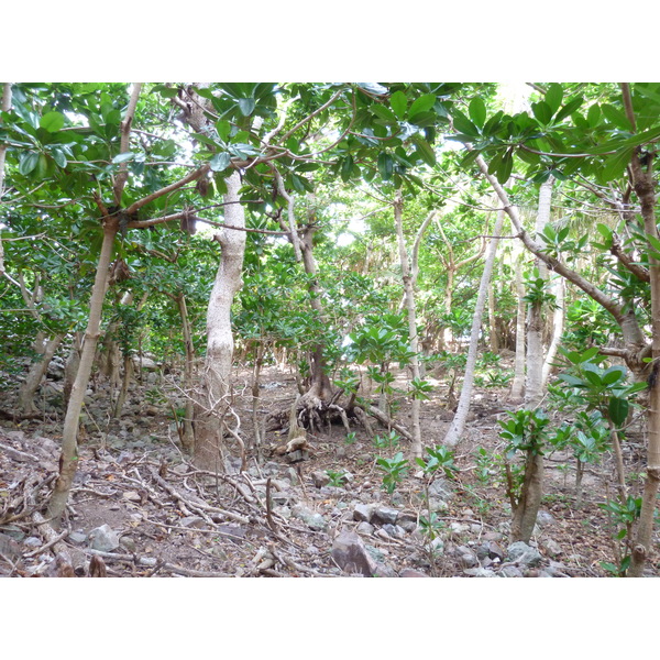 รูปถ่าย ฟิจิ(Fiji) เกาะแคสต์อะเวย์(Castaway Island) 2010-05 48