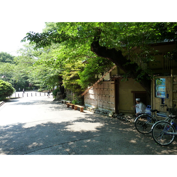 รูปถ่าย ญี่ปุ่น(Japan) โตเกียว(Tokyo) อุเอโนะ(Ueno) 2010-06 14