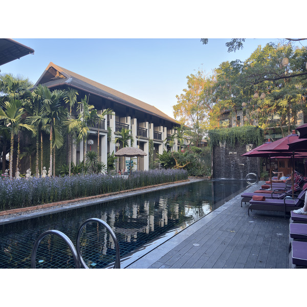 รูปถ่าย ไทย(Thailand) เชียงใหม่(Chiang Mai) 2026-01 1