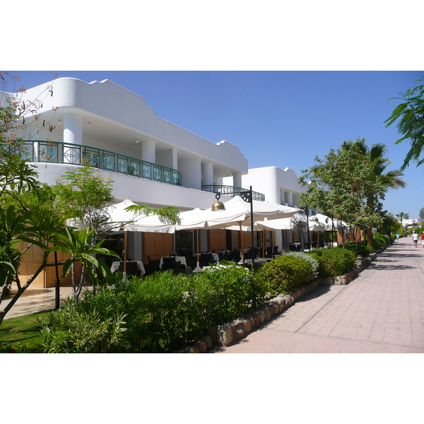 รูปถ่าย อียิปต์(Egypt) ชาร์มเอลชีค(Sharm el Sheikh) 2008-06 53