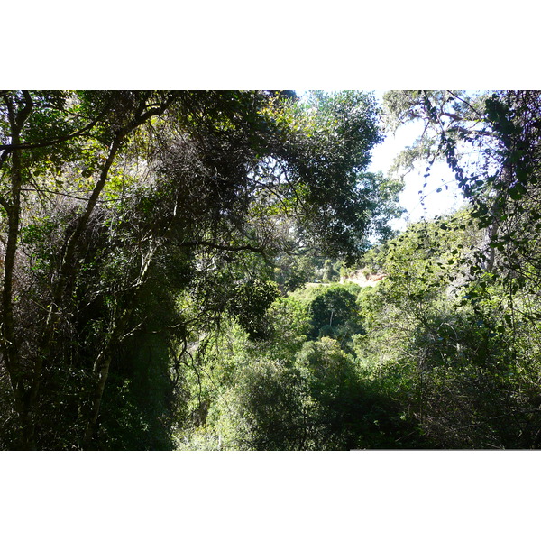 รูปถ่าย แอฟริกาใต้(South Africa) หุบเขาเนเจอร์ส(Nature's Valley) 2008-09 16