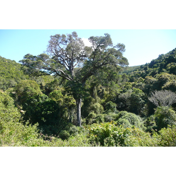 รูปถ่าย แอฟริกาใต้(South Africa) หุบเขาเนเจอร์ส(Nature's Valley) 2008-09 11