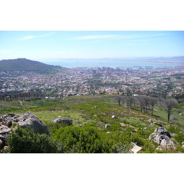 รูปถ่าย แอฟริกาใต้(South Africa) เคปทาวน์(Cape Town) ภูเขาเทเบิล(Table Mountain) 2008-09 0