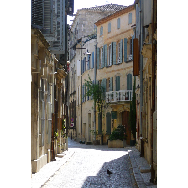 รูปถ่าย ฝรั่งเศส(France) ตาราสกง(Tarascon) 2008-04 37