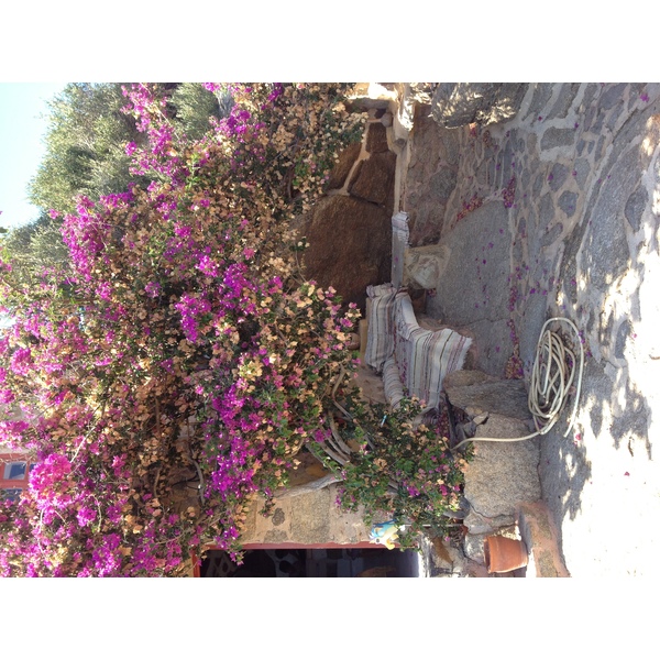 รูปถ่าย กรีก(Greece) เกาะมิโคนอส(Mykonos) 2014-07 8