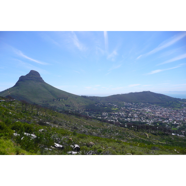 รูปถ่าย แอฟริกาใต้(South Africa) เคปทาวน์(Cape Town) ภูเขาเทเบิล(Table Mountain) 2008-09 10