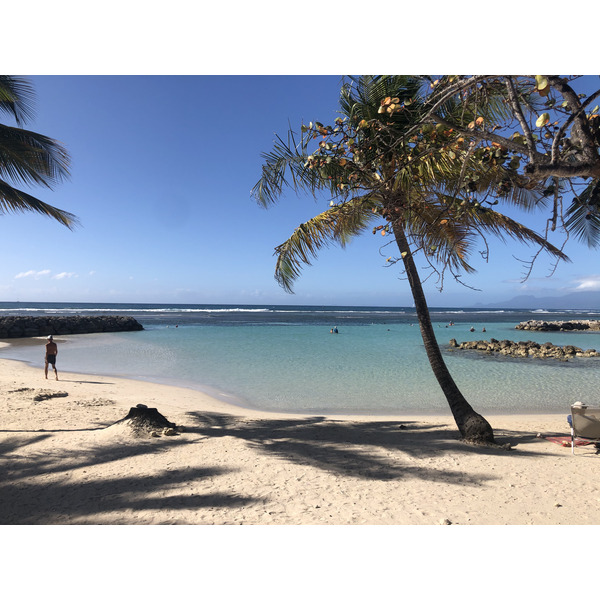 รูปถ่าย กวาเดอลูป(Guadeloupe) แซ็งตาน(Sainte Anne) 2021-02 53