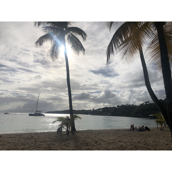 รูปถ่าย กวาเดอลูป(Guadeloupe) หาดลาการาแวล(La Caravelle Beach) 2021-02 119