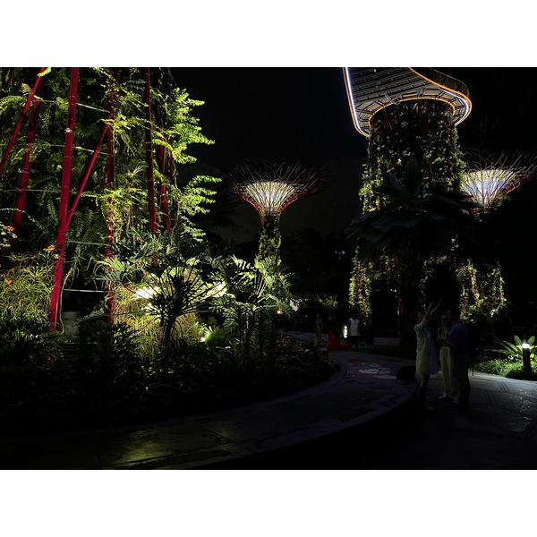รูปถ่าย สิงคโปร์(Singapore) การ์เดนส์บายเดอะเบย์(Garden by the bay) 2023-01 3